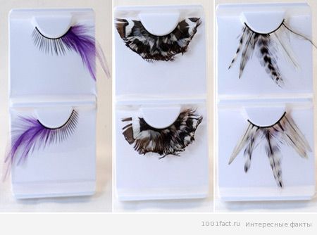 feathers_eye1