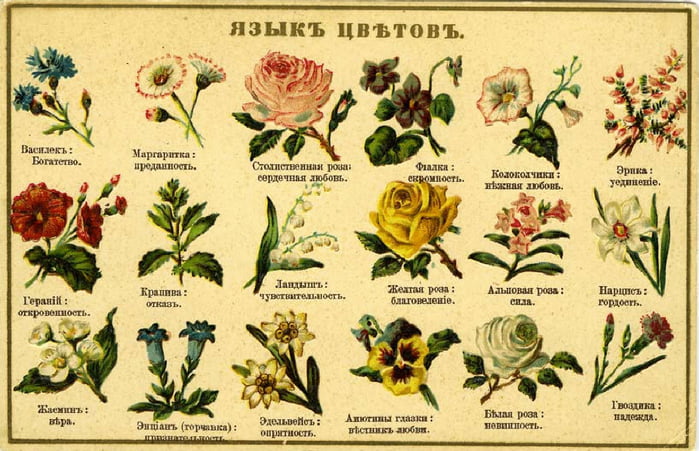 http://1001fact.ru/wp-content/uploads/2012/02/flowers.jpg