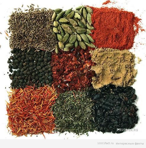 разные виды специй