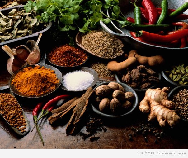 факты специи
