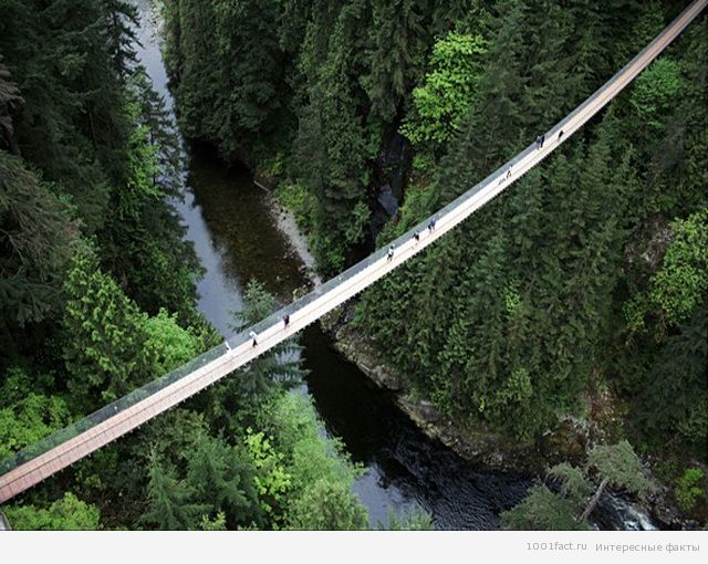 висячий мост Капилано в Канаде