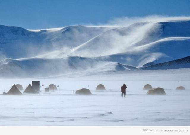 ветер в Антарктиде