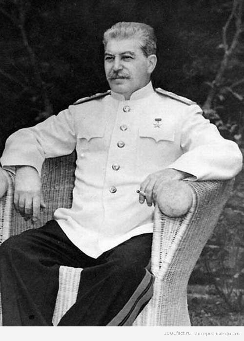факты_Сталин