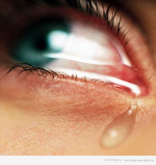 женские слезы
