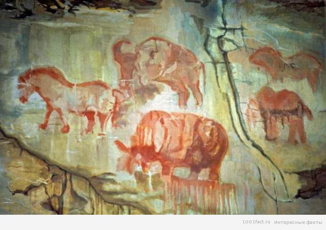 рисунки на стенах Каповой пещеры