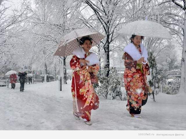 японский снег