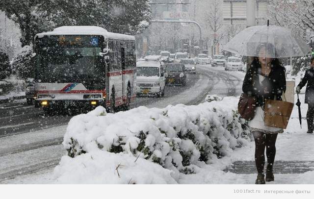 Япония в снегу