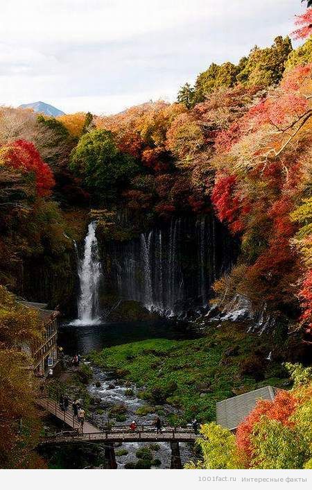 водопад осенью_Шираито