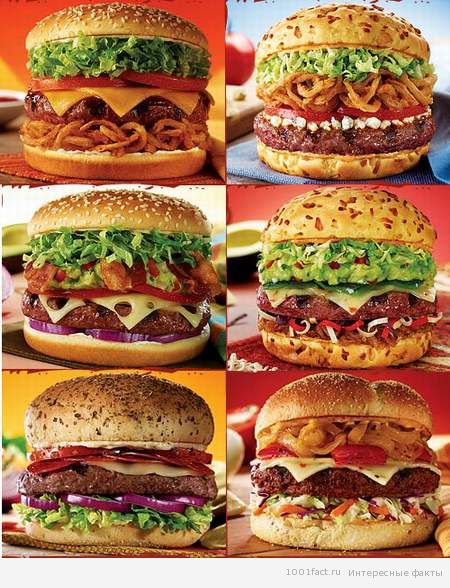 разнообразие гамбургеров