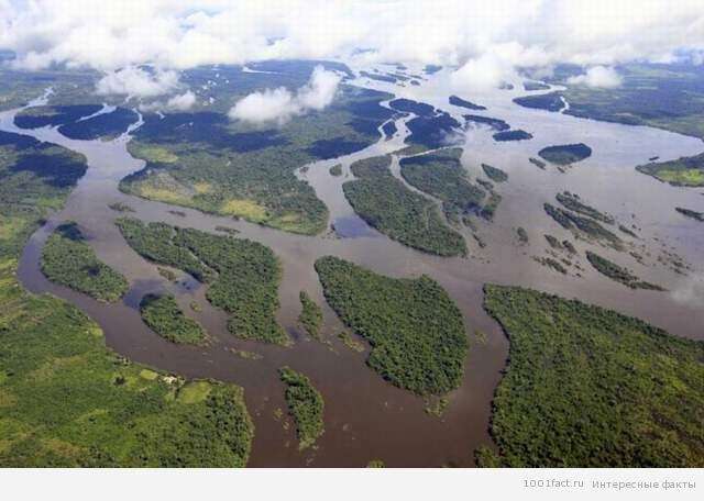 вид на реку Амазонка