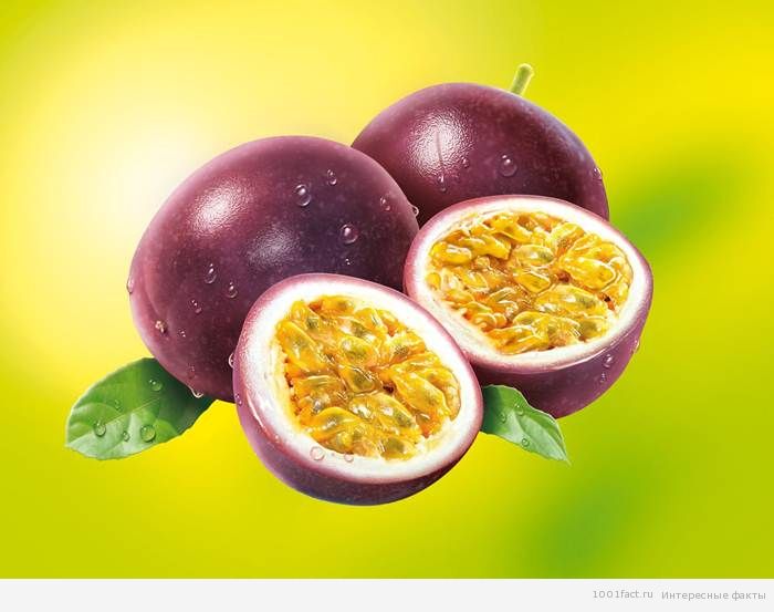 Некоторые факты о маракуйе | Интересные Факты