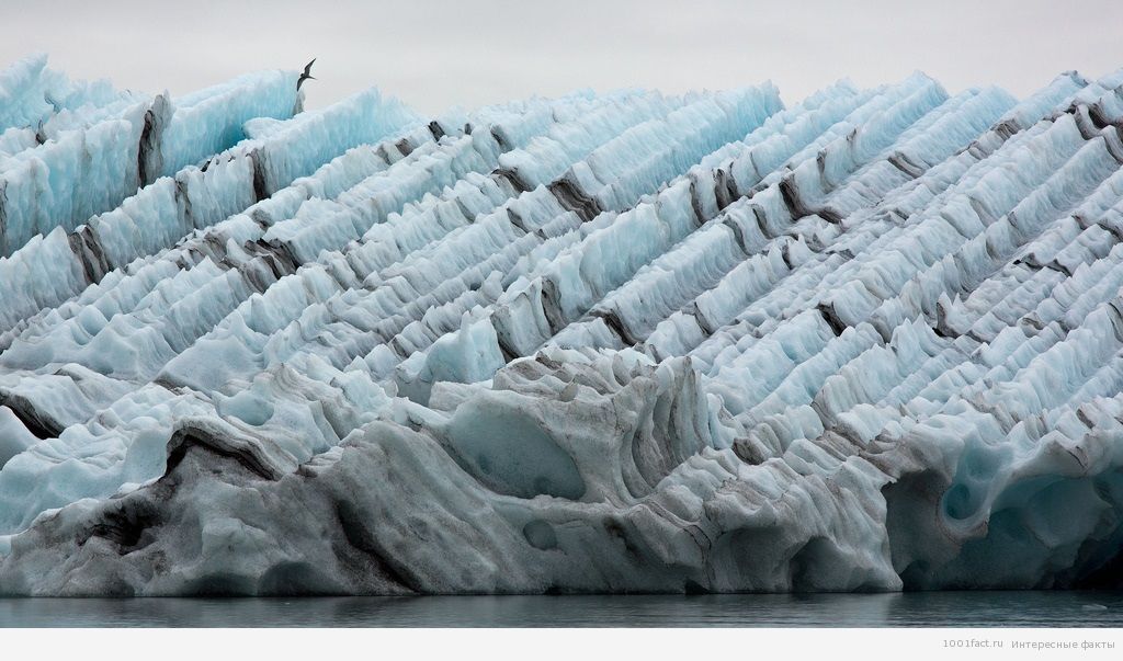 ледники на озере