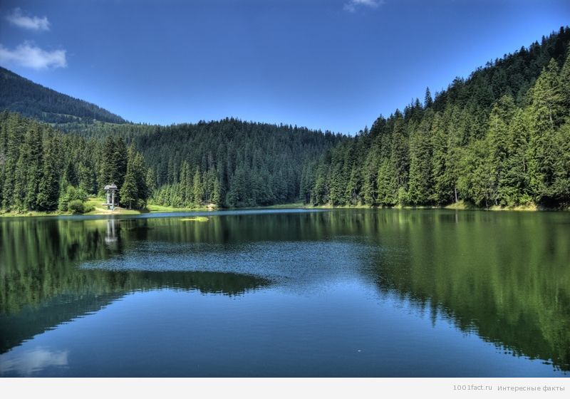 Сіневір_озеро