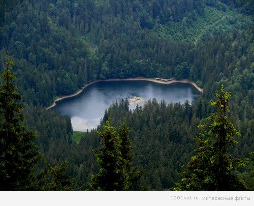 озеро_Карпати