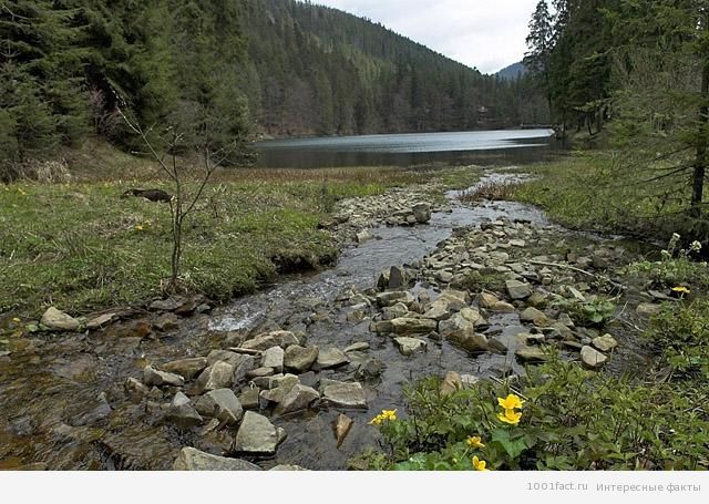 прірода_Сіневір