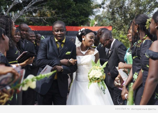нигерийская свадьба