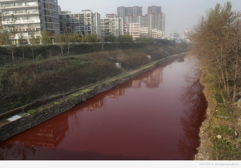 Кровавая или Красная река