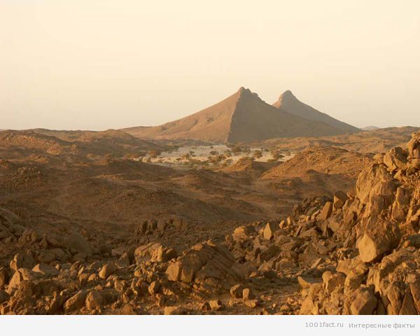 Земля_уникальное плато в Сахаре