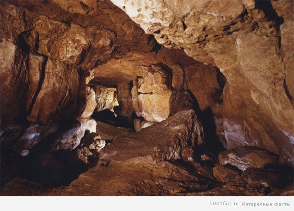 древняя пещера Альтамира