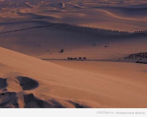 пустыня Гоби