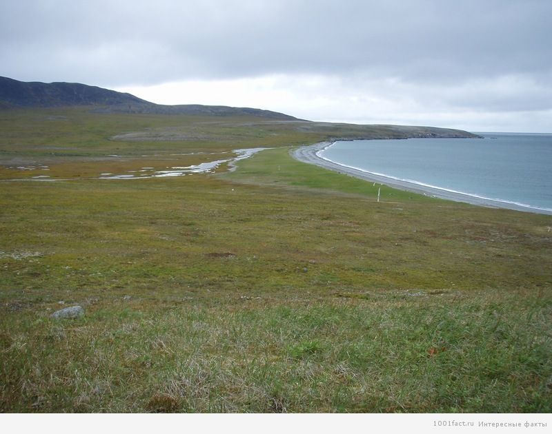 Китовая аллея