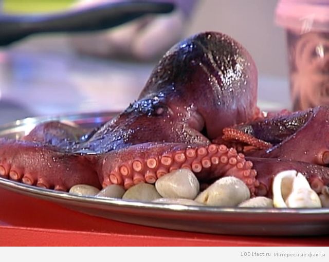 осьминог на блюде