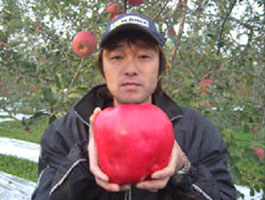 самое большое яблоко в мире
