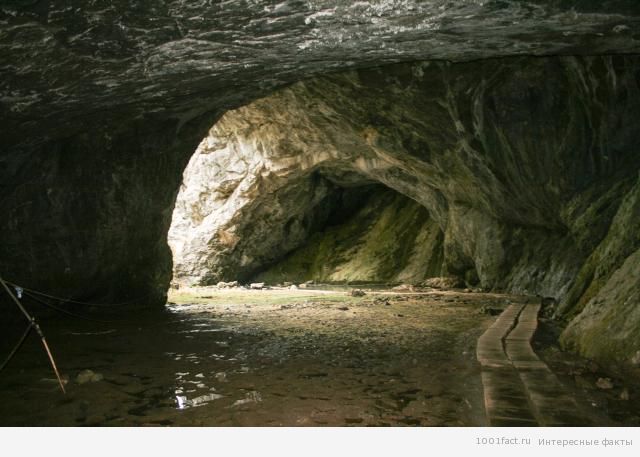 Капова пещера внутри