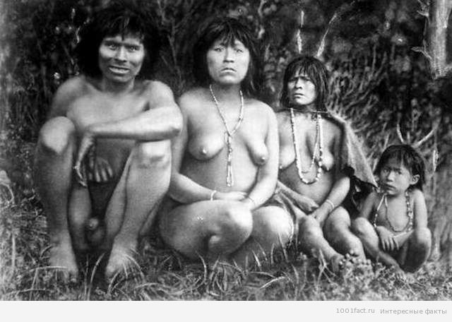 местные аборигены