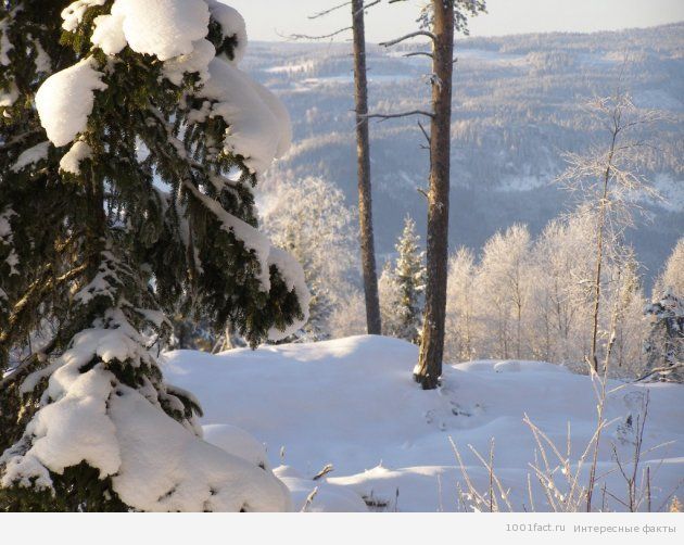 зима в Норвегии