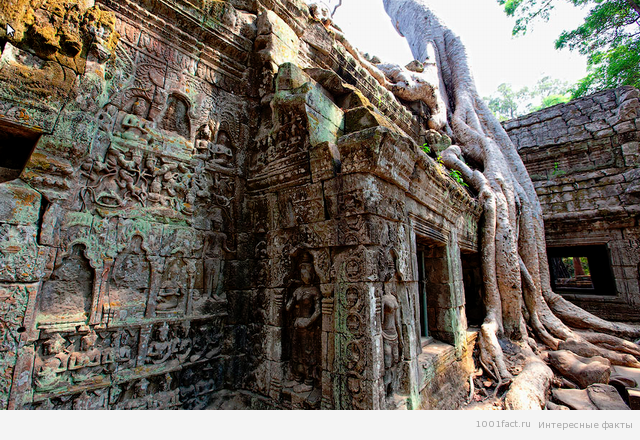 храм в Камбодже