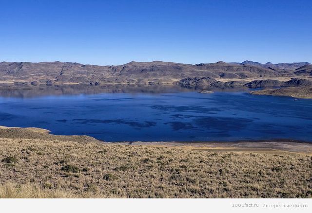 Боливия_озеро Титикака