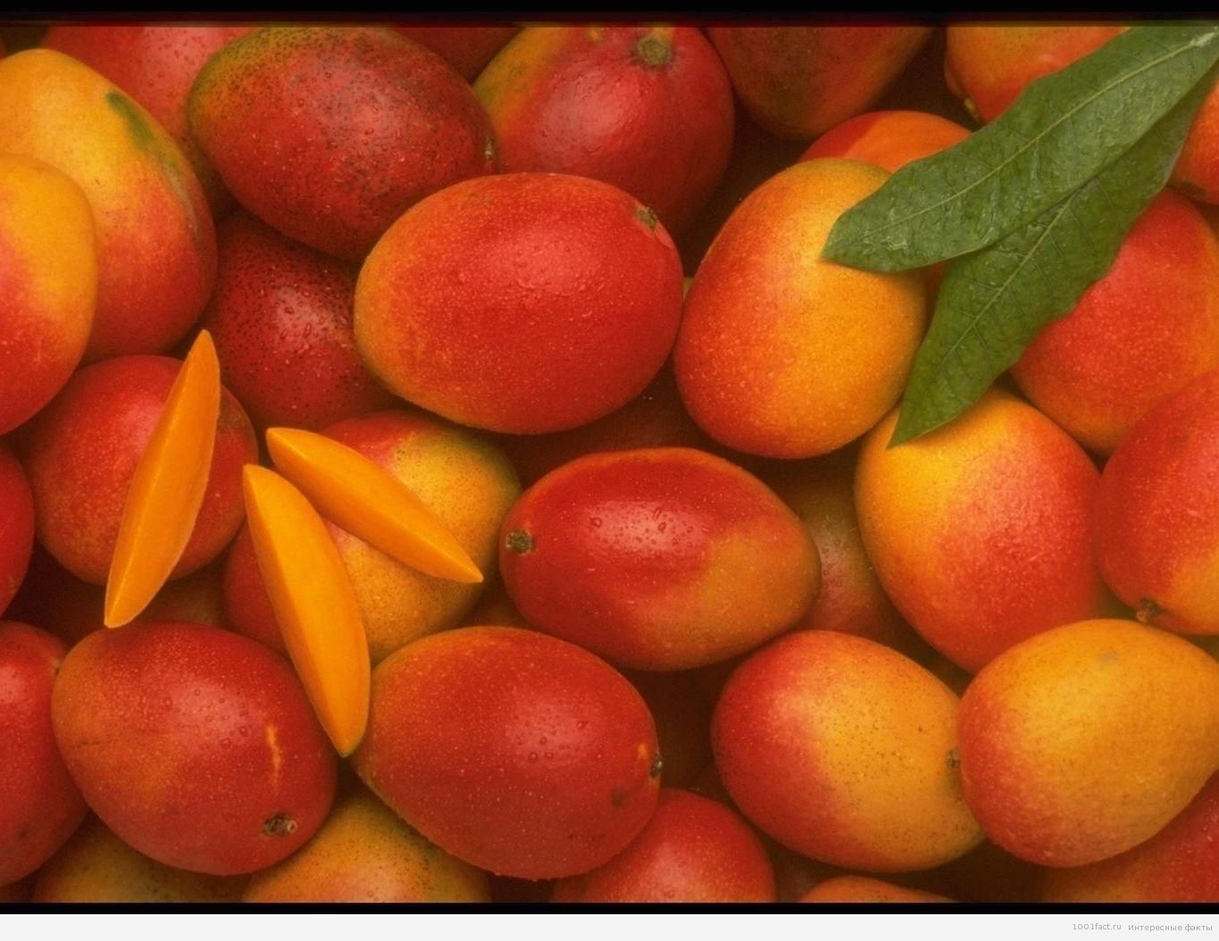 много манго