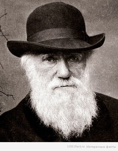 Чарльз Дарвин в старости